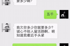 台山专业讨债公司有哪些核心服务？